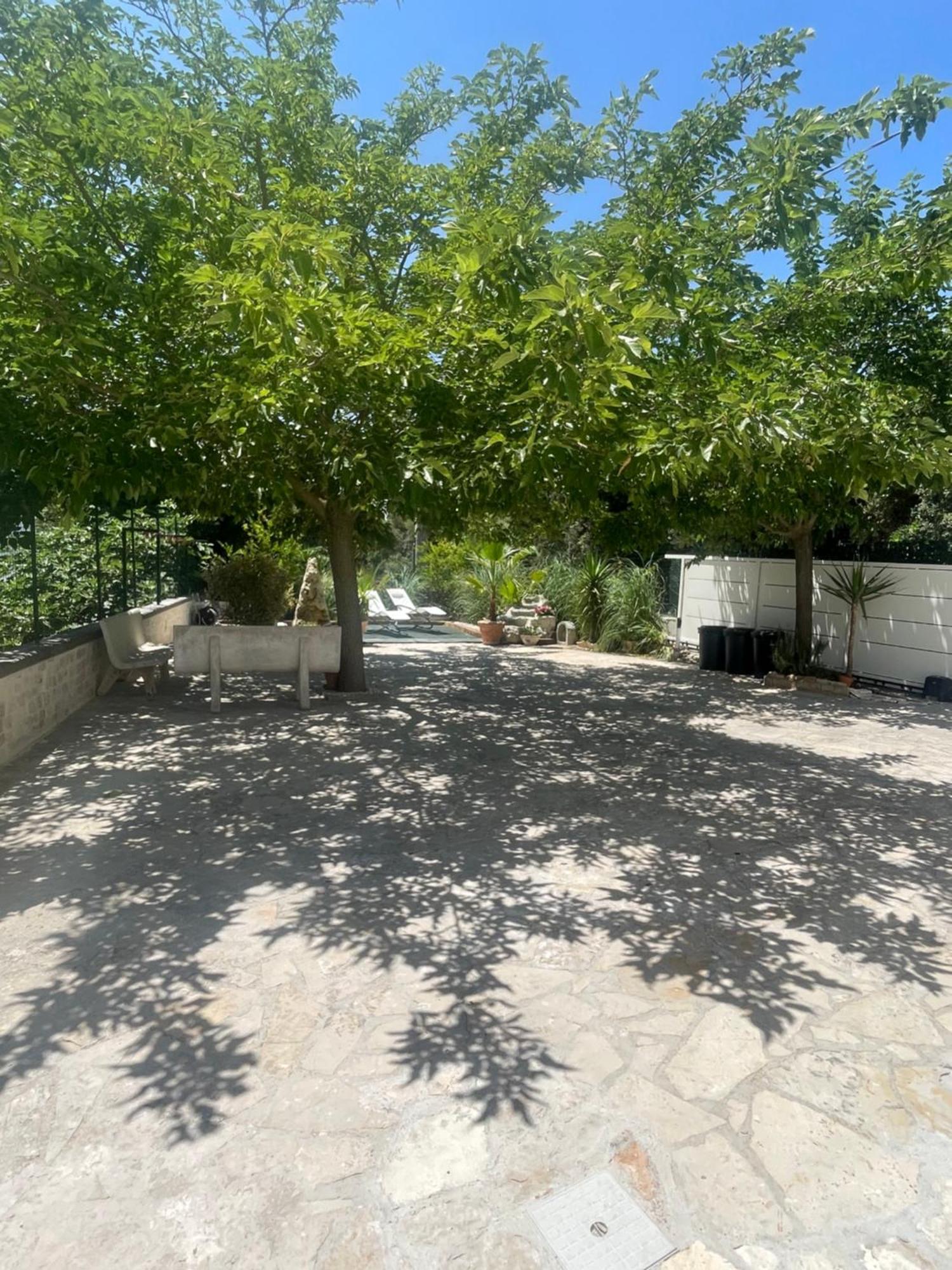 Villa Romina Selva Di Fasano Eksteriør bilde