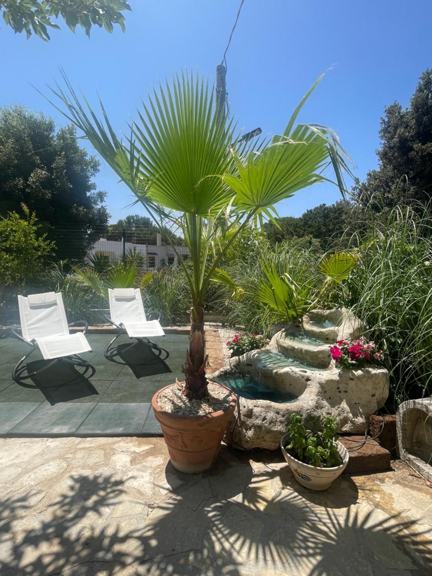 Villa Romina Selva Di Fasano Eksteriør bilde